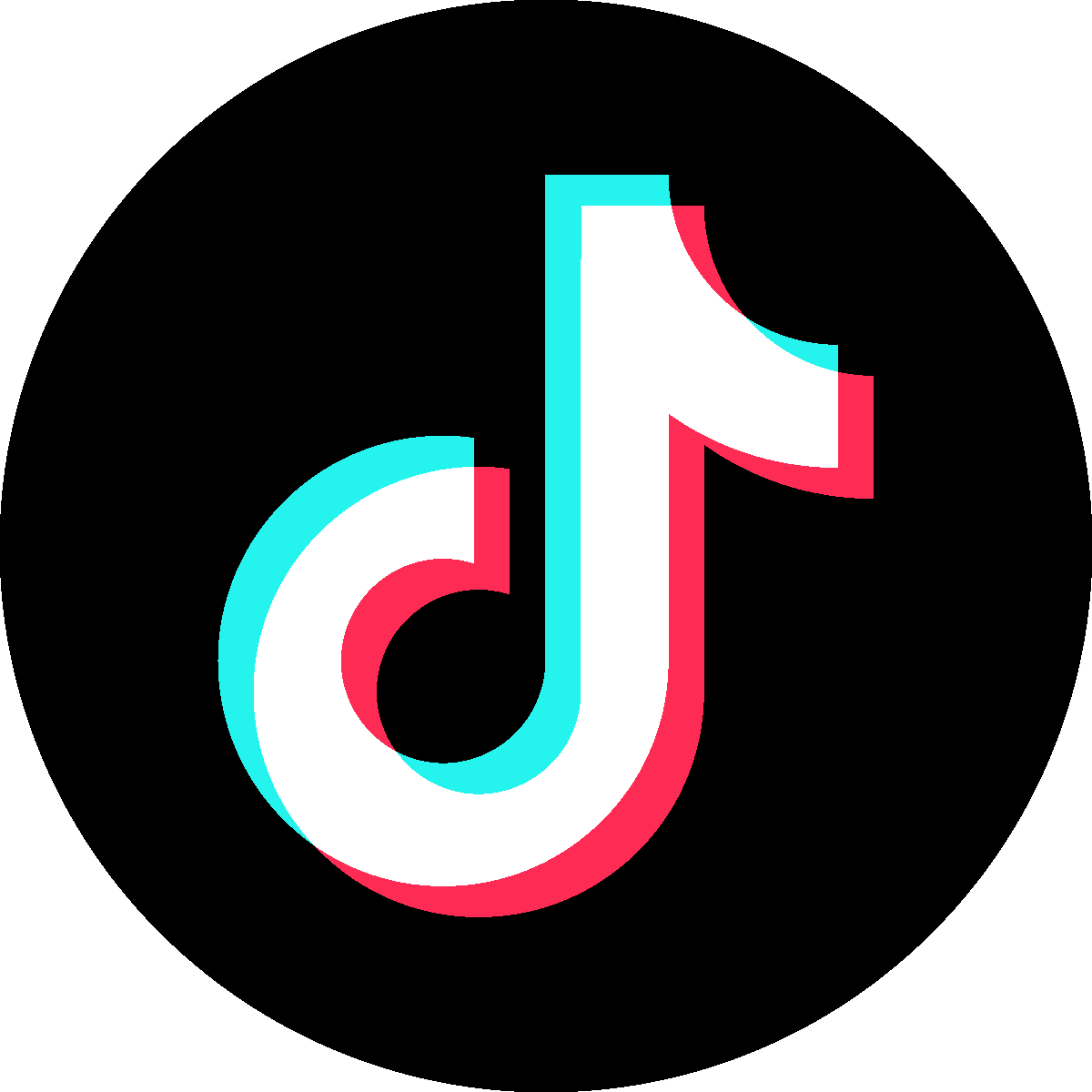 Dr Lily Vu TikTok